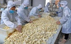 看豆腐村“玩儿转”豆腐产业